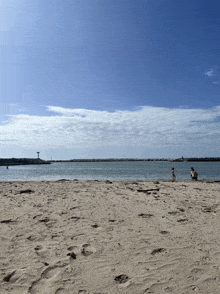 two people playing on a sandy beach near the ocean