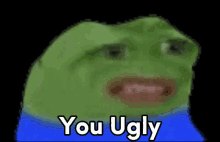 a green frog with a blue shirt and the words `` you ugly '' on it 's face .