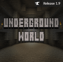 a screenshot of the underground world minecraft game