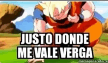 a picture of a cartoon character with the words justo donde me vale verga written on it .