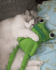 a cat is hugging a stuffed green frog