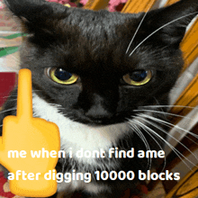 a black and white cat with the words " me when i dont find ame after digging 10000 blocks " next to it