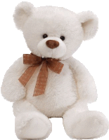 a white teddy bear with a brown ribbon around its neck