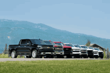 a row of trucks are parked in a grassy field