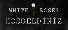 a sign that says white roses hoşgeldiniz with a single white rose