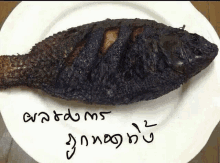 a black fish is on a white plate with the words " aradms " written on the bottom