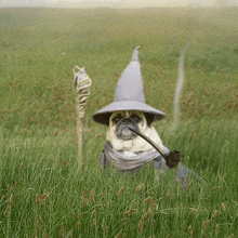 a pug wearing a wizard hat and smoking a pipe in a field