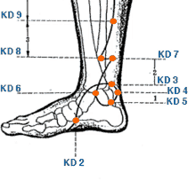 a black and white drawing of a foot with kd 9 kd 8 kd 7 kd 6 kd 1 kd 5