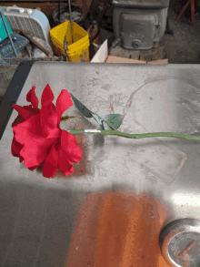 a red rose is sitting on top of a stainless steel thermometer