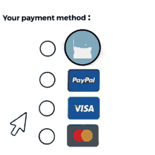 paypal visa and mastercard payment methods are shown