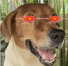 a close up of a dog wearing sunglasses with red lights on its eyes