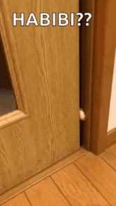 a cat peeking out from behind a wooden door that says habibi on it