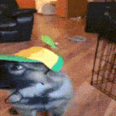 a dog wearing a green and yellow hat is looking at the camera