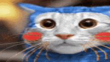 a close up of a cat 's face with blue eyes and red cheeks