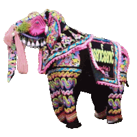 a colorful elephant with the word surgeon written on the back