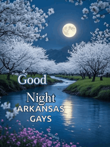 a good night arkansas gays poster with a river and trees