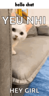 a white cat is peeking out from behind a couch and saying hello chat yeu nhi hey girl