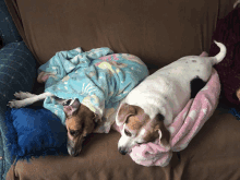 two dogs are laying on a couch with blankets on them