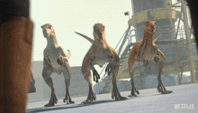 a group of dinosaurs are standing next to each other in a row in front of a building .