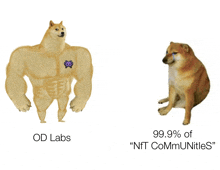 a picture of a dog next to a picture of a dog with the words od labs on it