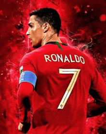 the back of a soccer player wearing a red jersey with the number 7 on the back .