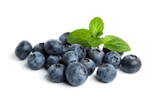 a pile of blueberries with leaves on a white background .