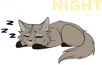 a drawing of a cat sleeping under the words night