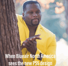 Blueair North America Ps5 Meme