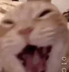 a close up of a cat with its mouth open and a heart next to it that says 26.8k