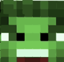 a close up of a frog 's face in a video game .