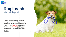 a dog with a leash in its mouth is on a dog leash market report cover