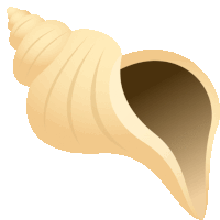 a cartoon drawing of a sea shell with a hole in the middle