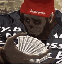 a monkey wearing a supreme hat holds a fan of money