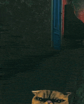 a cat is sitting on someone 's lap with a blue door in the background