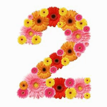 the number 2 is made of pink and yellow flowers on a white background .