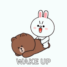 a brown bear is laying on top of a white bunny rabbit with the words wake up below them