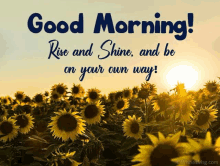 a field of sunflowers with the words `` good morning ! rise and shine , and be on your own way ! ''