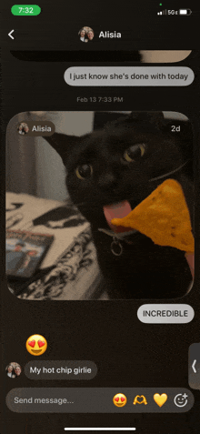 a screenshot of a chat between alisia and a cat with a tortilla chip in its mouth