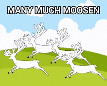 a drawing of three deer running with the words many much moosen below them