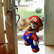 a stuffed mario is standing in a doorway .