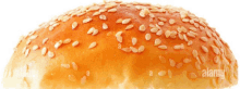 a close up of sesame seeds on a bun