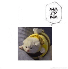 a white cat is wearing a bee costume and a speech bubble says nah i 'd win