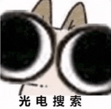 a close up of a cat wearing glasses with chinese writing on it .