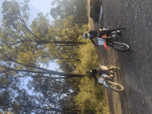 two dirt bike riders are riding down a dirt road in the woods