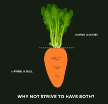 an illustration of a carrot with the words having a skill and having a degree