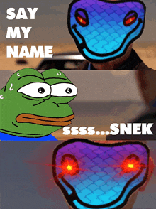 a cartoon of a frog and a snake saying say my name ssss..snek