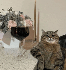 a cat is sitting next to a glass of wine