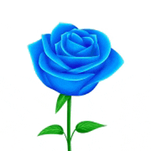 a single blue rose with green leaves on a stem on a white background .