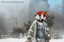 a badger wearing a fireman 's uniform and a red hat with the website badgerhybrid.com in the corner