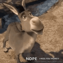 a donkey from shrek is standing in the dirt and looking up at the camera .